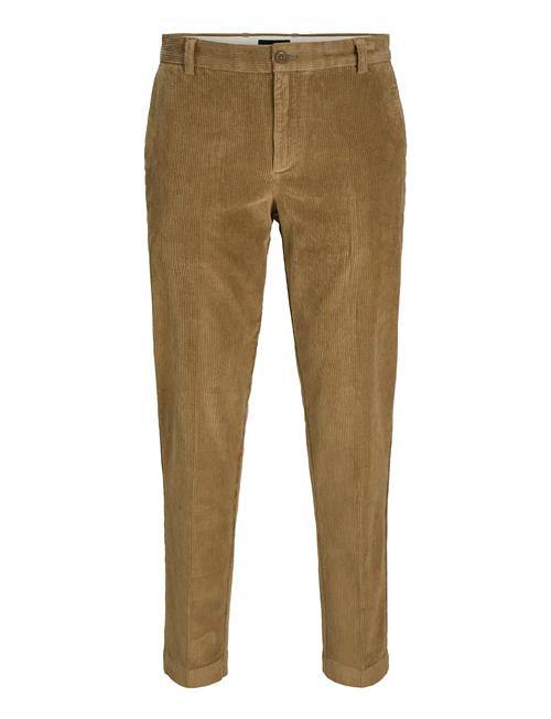 Jack & Jones | Jpstace Corduroy Chino Sn | 33 x 32