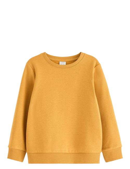 Lindex | Sweatshirts Solid Basic | 128