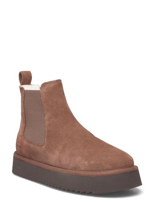 Copenhagen Studios | Cph258 Suede Chocolate | 36