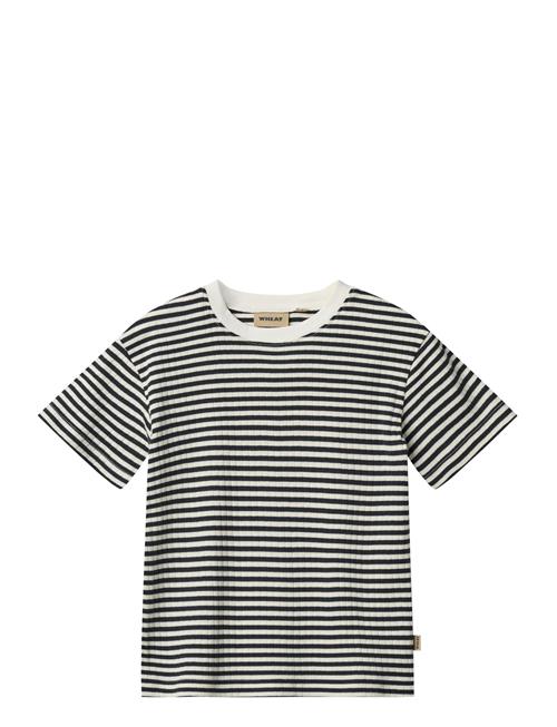 Wheat | T-Shirt S/S Fabian | 140