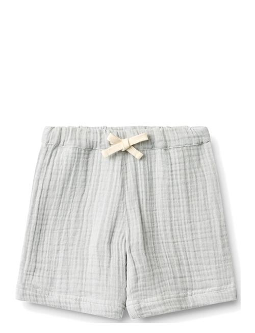 Wheat | Shorts Atlasz | 122