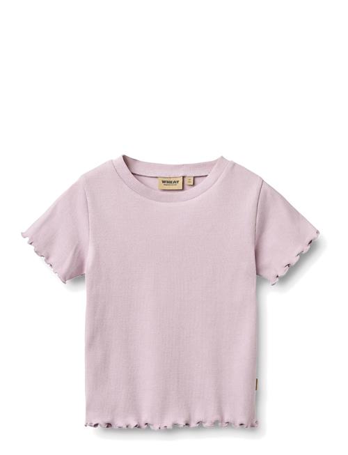 Wheat | Rib T-Shirt S/S Alicia | 110