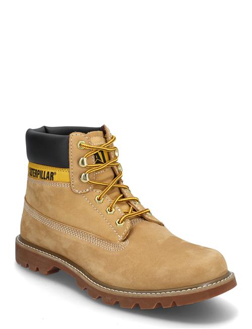 Caterpillar | Colorado 2.0 - Honey Reset | 45