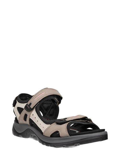 ECCO | Offroad | 43