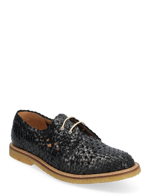 ANGULUS | Shoes - Flat - With Lace | 42