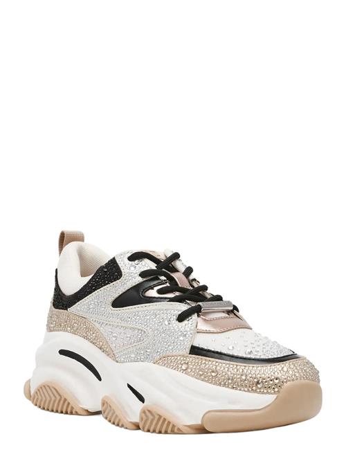 Steve Madden | Privy | 37