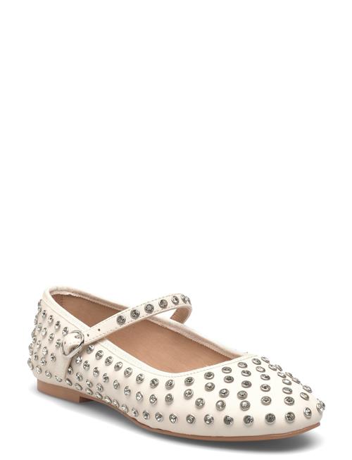 Steve Madden | Vinetta-R | 41