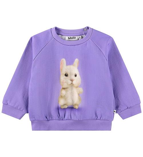 Molo Sweatshirt - Disc - Buddies