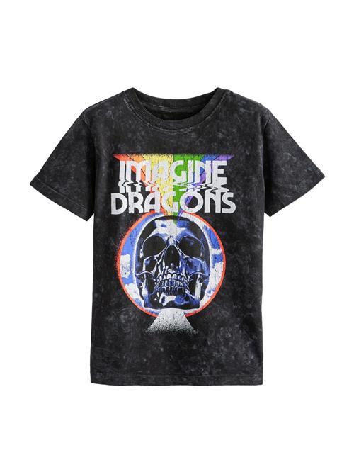 Next Shirts  blå / sort