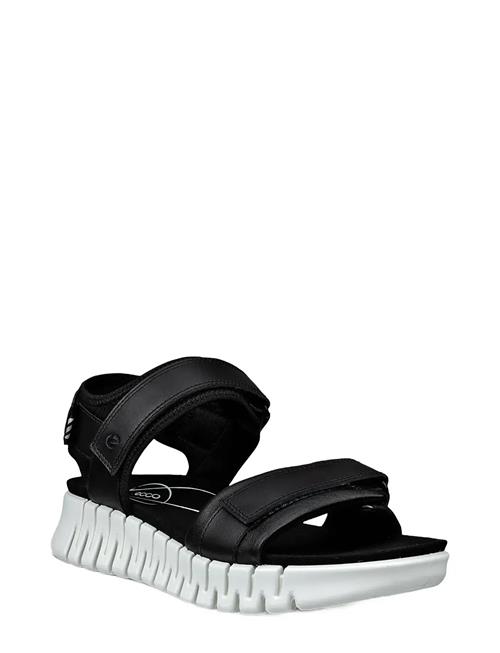 ECCO | Gruuv Sol W | 41