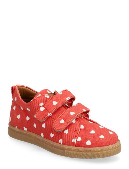 ANGULUS | Shoes - Flat - With Velcro | 31
