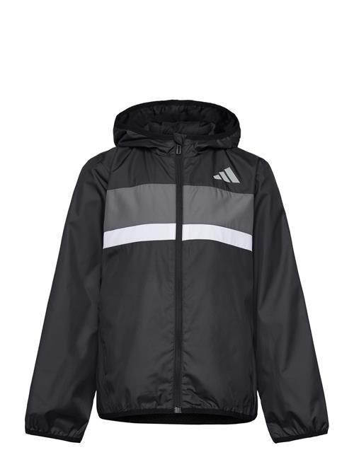 adidas Sportswear | J Tiberio Wb | 140