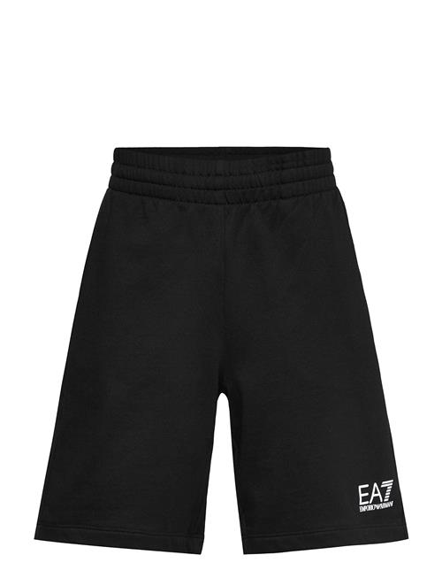EA7 | Bermuda | 128