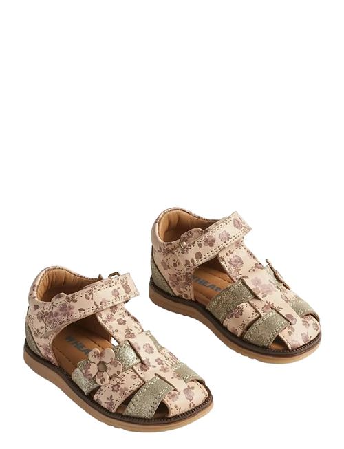 Wheat | Sandal Sky Flower | 24