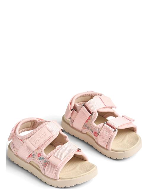 Wheat | Sandal Mandy | 34