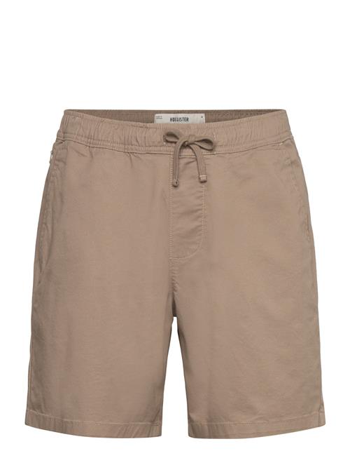 Hollister | Hco. Guys Shorts | M
