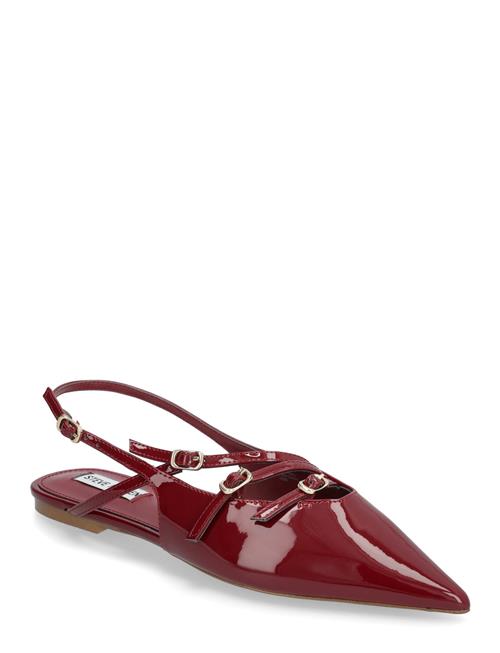 Steve Madden | Cianna Sandal | 39