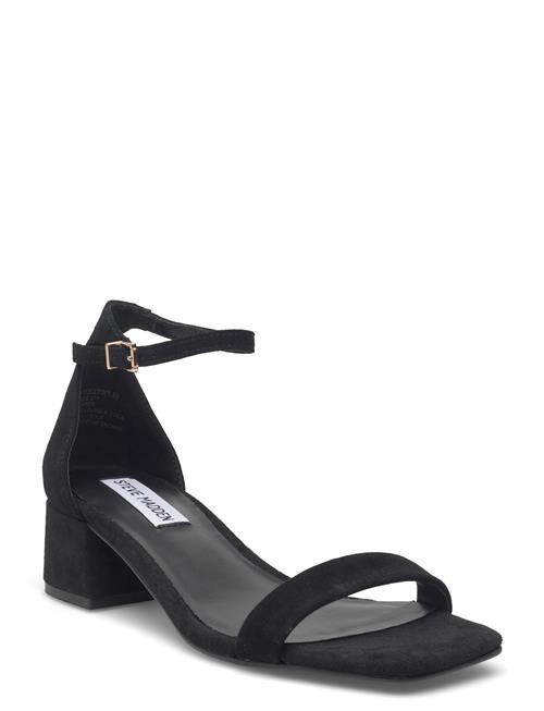 Steve Madden | Gena | 40