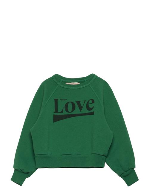 THE ANIMALS OBSERVATORY | Shark Kid Sweatshirt Green | 3 Y