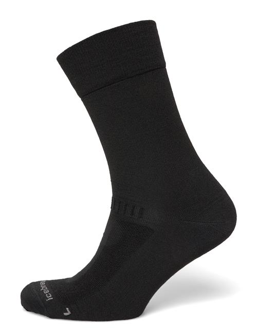 Icebreaker | Men Merino Hike+ Liner Crew | XL