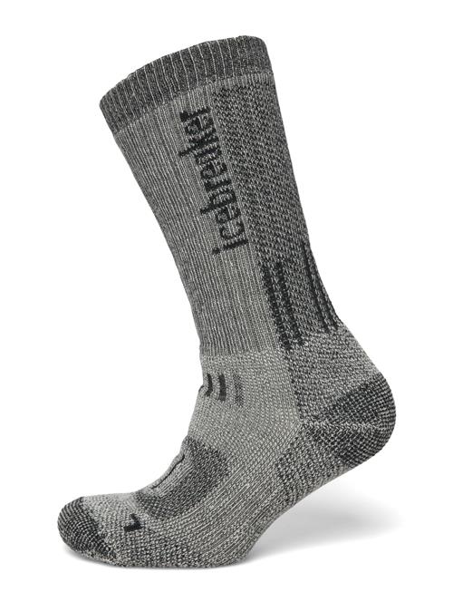 Icebreaker | Men Merino Hike+ Mountaineer Mid Calf | XL