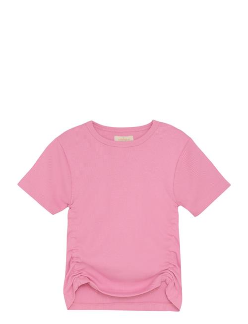 Creamie | T-Shirt Ss Rib | 116