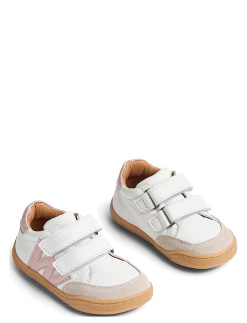 Wheat | Sneaker Barres | 26