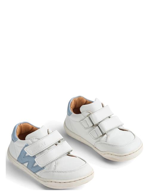 Wheat | Sneaker Barres | 29