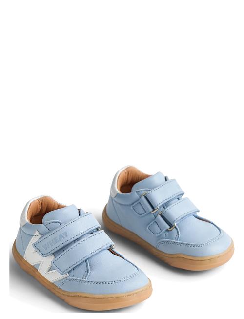 Wheat | Sneaker Barres | 31