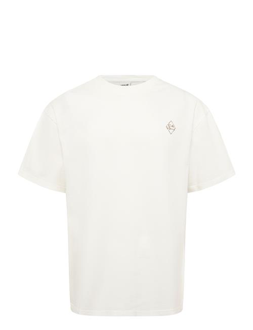 Solid | Sdrobyn | L