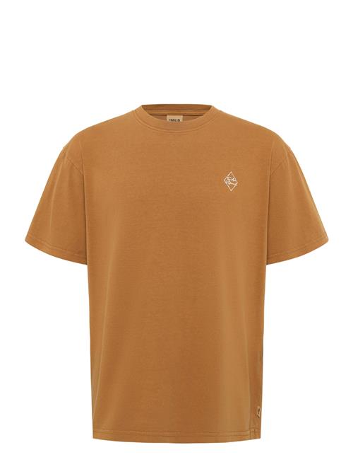 Solid | Sdrobyn | S