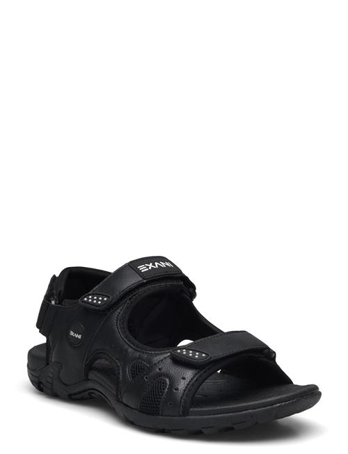 Exani | Spider Pro W | 39