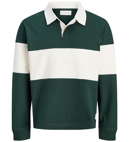 Jack & Jones Sweatshirt - JorFrederiksberg - Polo - Pine Grove