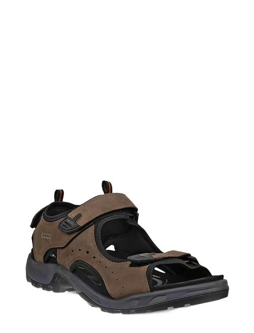 Se ECCO | Offroad | 41 hos Booztlet