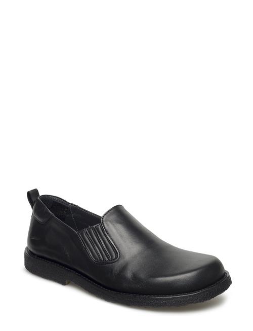 ANGULUS | Shoes - Flat - With Elastic | 40-26.5CM
