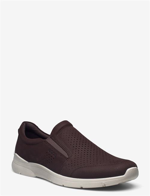 ECCO | Irving | 42