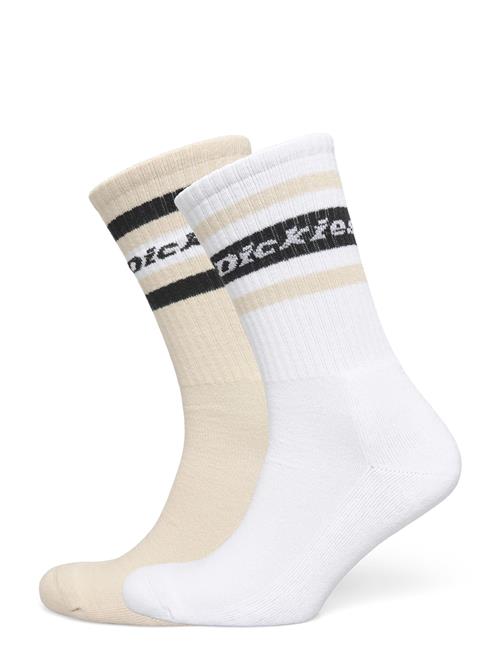 Dickies | Genola | 35-38