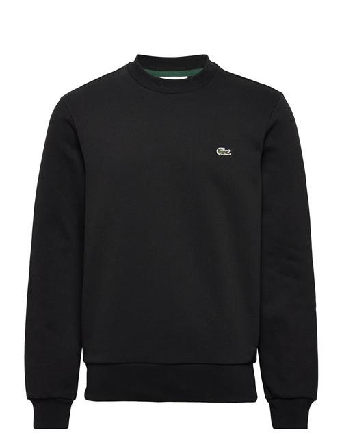 Lacoste | 1Hs1 Men's Sweatshirt | L