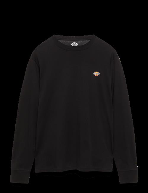 Dickies | M Ls Mapleton Tee | S