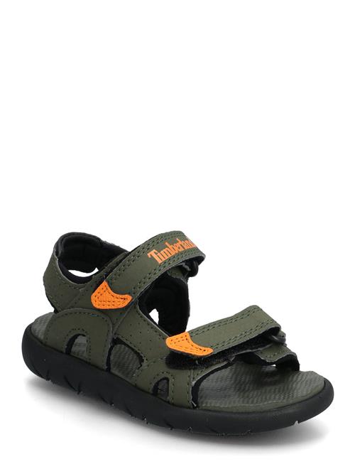 Timberland | Perkins Row Backstrap Sandal Leaf Green | 26