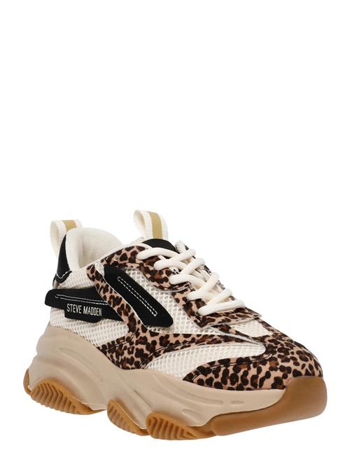 Steve Madden | Jpossession | 34