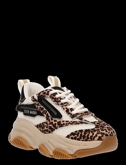 Se Steve Madden | Jpossession Sneaker | 34 hos Booztlet