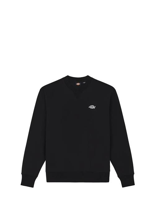 Dickies | M Summerdale Sweatshirt | XXL