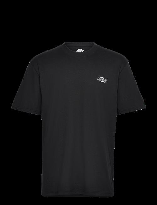 Dickies | Summerdale Ss Tee | S