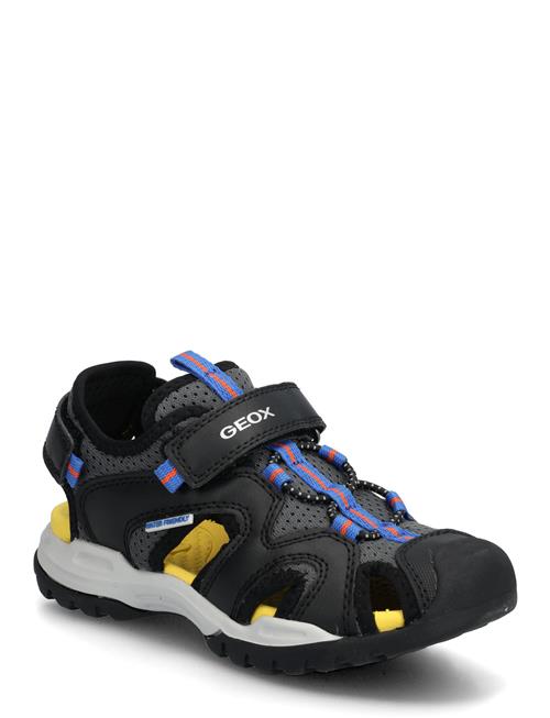 GEOX | J Borealis Boy C | 32