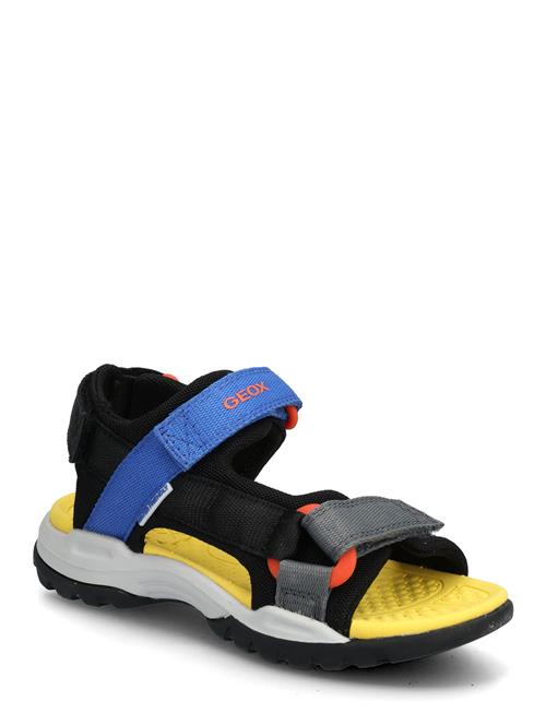 GEOX | J Borealis Boy E | 31