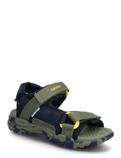GEOX | J Borealis Boy E | 28