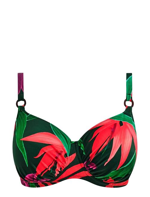 Fantasie | Pichola | G x 80