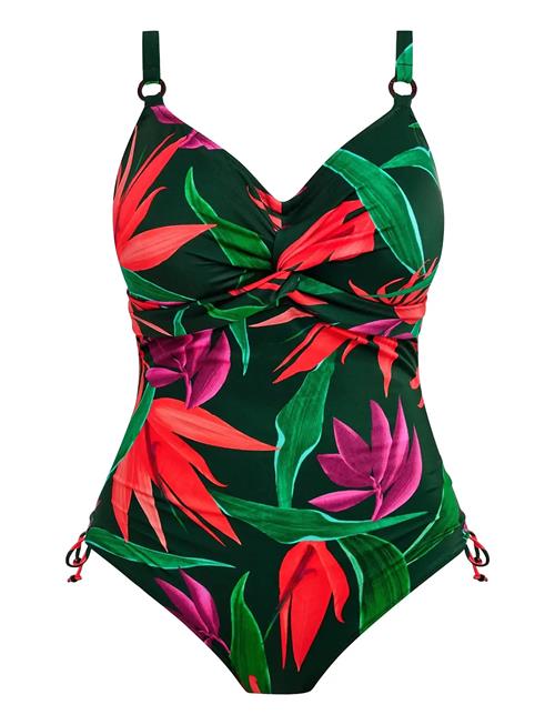 Fantasie | Pichola | F x 70