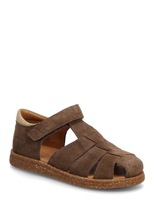 ANGULUS | Sandals - Flat  - Closed Toe | 27